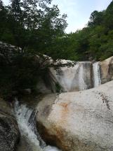梁山传奇采集百药玩法攻略 梁山传奇采集百药怎么玩