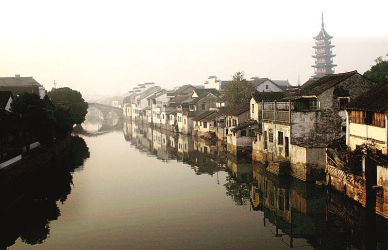 动物帮帮忙保卫家园
